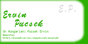 ervin pucsek business card